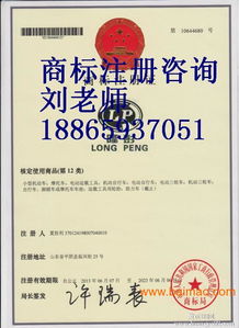 東營商標(biāo)注冊代理公司 東營商標(biāo)注冊成功率,東營商標(biāo)注冊代理公司 東營商標(biāo)注冊成功率生產(chǎn)廠家,東營商標(biāo)注冊代理公司 東營商標(biāo)注冊成功率價(jià)格